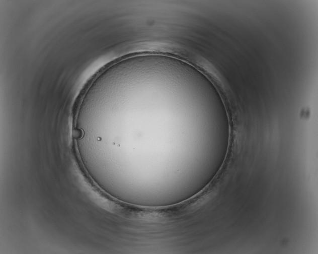 X0000116831079200912241222