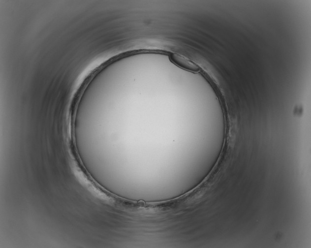 X0000116831080200912241222