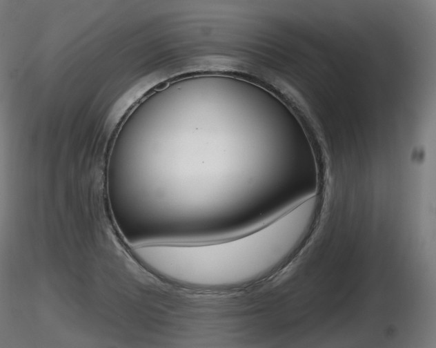 X0000116831081200912241222