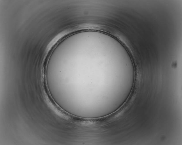 X0000116831082200912241222