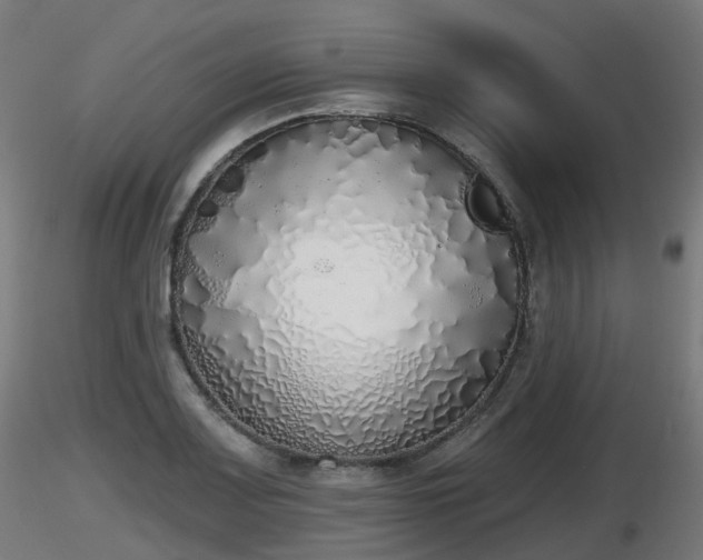 X0000116831083200912241222