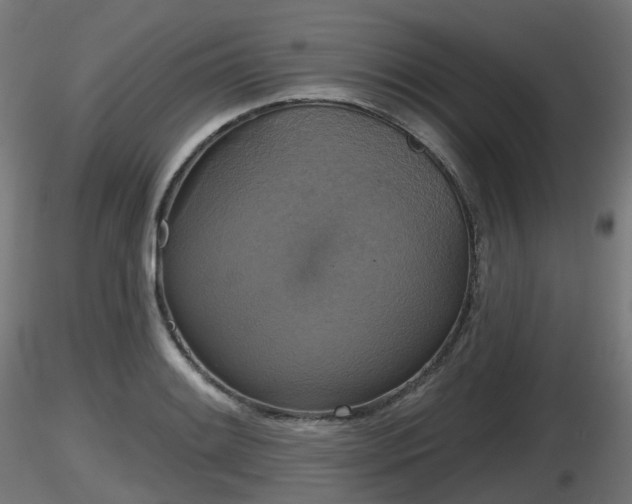 X0000116831084200912241221