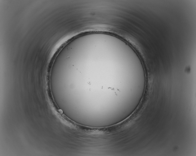 X0000116831085200912241221