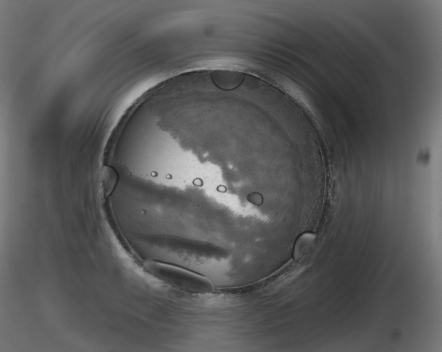 X0000116831087200912241221