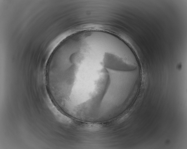X0000116831090200912241221