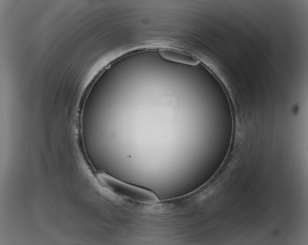X0000116831093200912241221