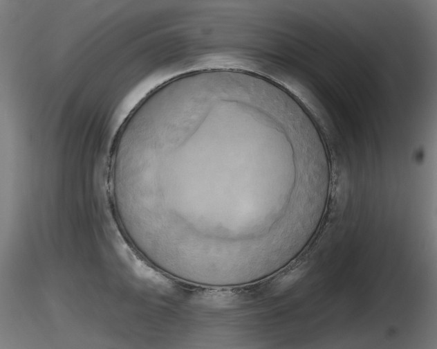 X0000116831094200912241221