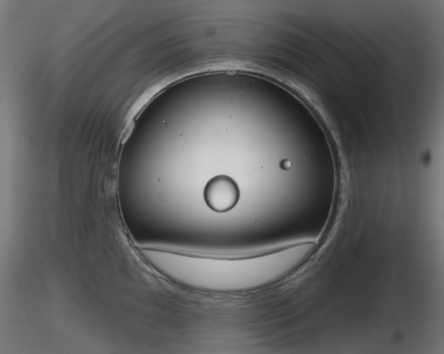 X0000116831097200912241221