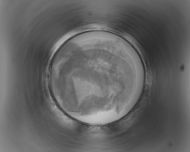 X0000116831098200912241221