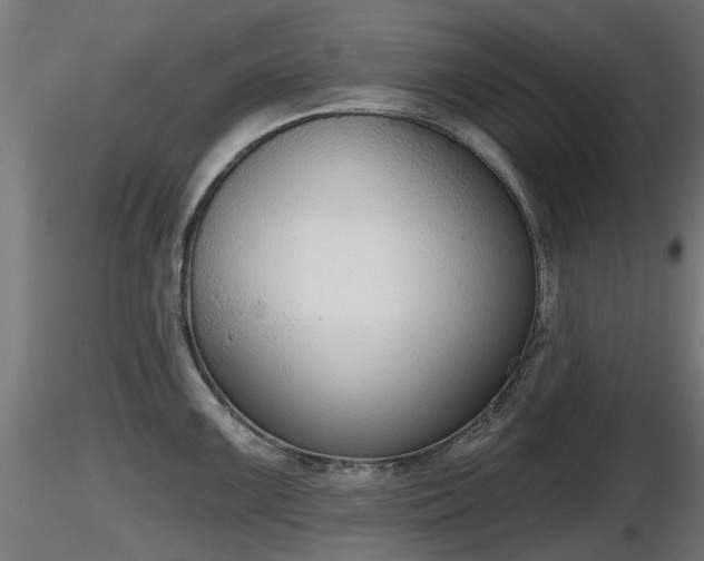 X0000116831099200912241221