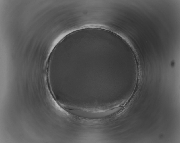 X0000116831102200912241221