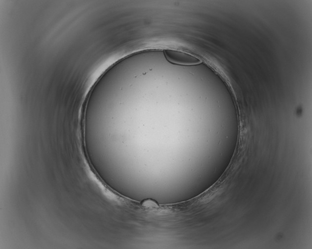 X0000116831103200912241221