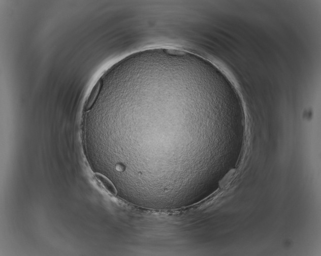 X0000116831104200912241221