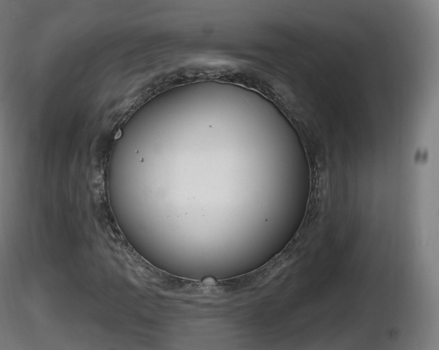 X0000116831109200912241221