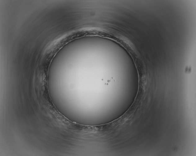 X0000116831111200912241221