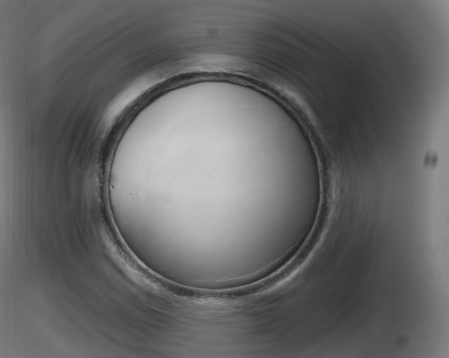 X0000116831114200912241221