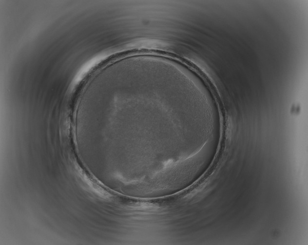 X0000116831115200912241221