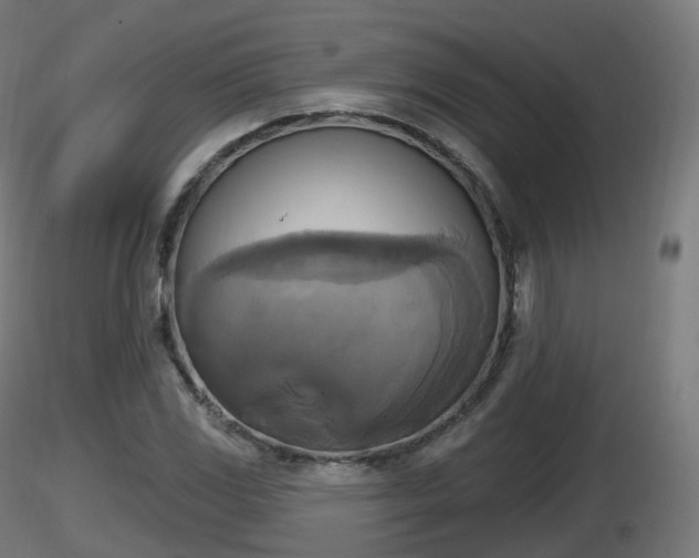 X0000116831117200912241221