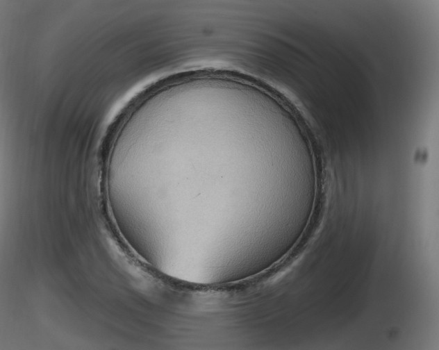 X0000116831118200912241221