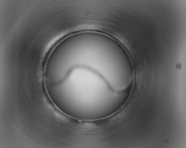 X0000116831119200912241221