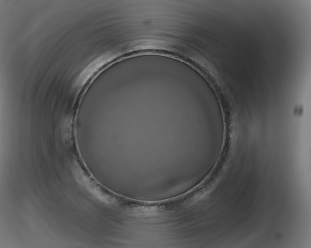 X0000116831121200912241221