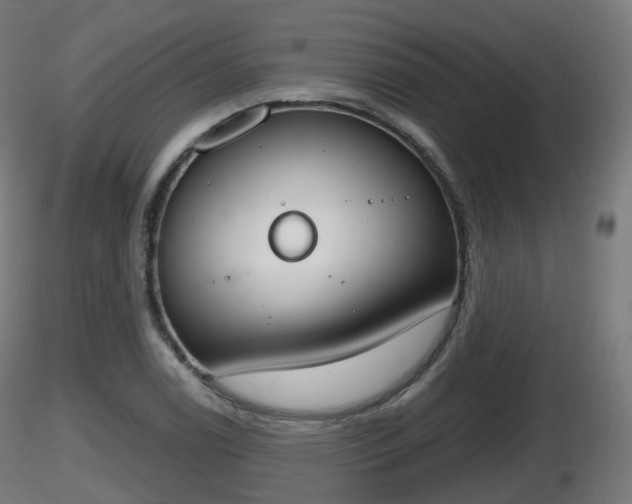 X0000116831122200912241221