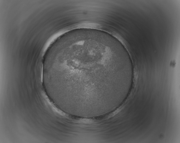 X0000116831123200912241221