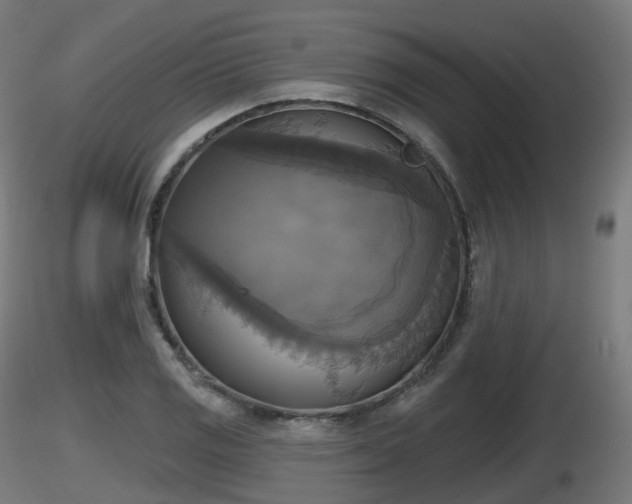X0000116831125200912241221