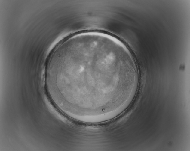 X0000116831126200912241221