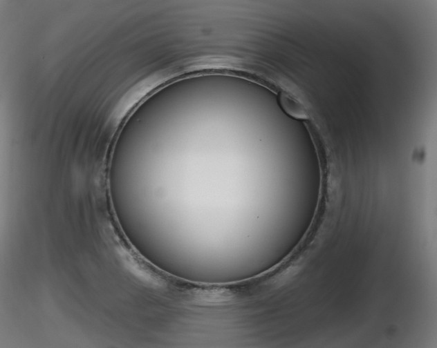 X0000116831129200912241221