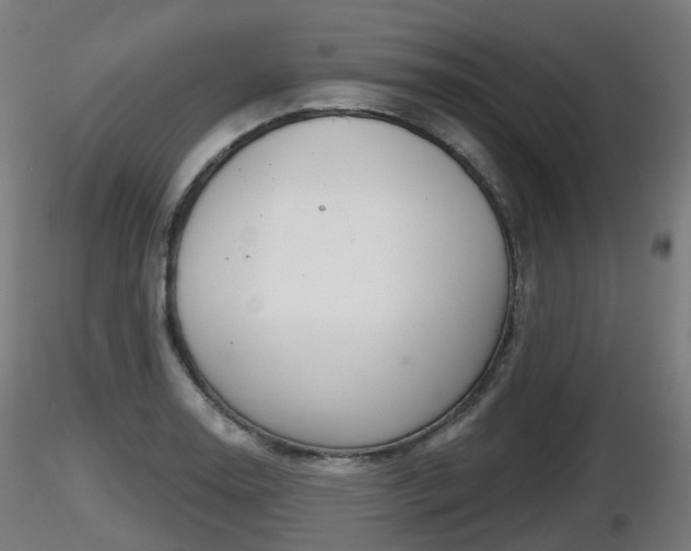X0000116831130200912241221