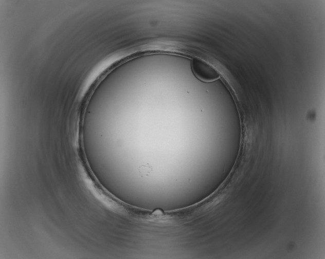 X0000116831131200912241221