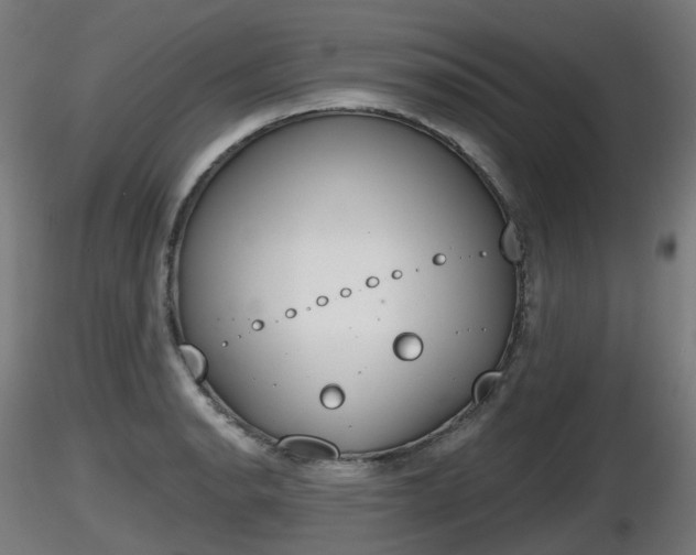 X0000116831134200912241221