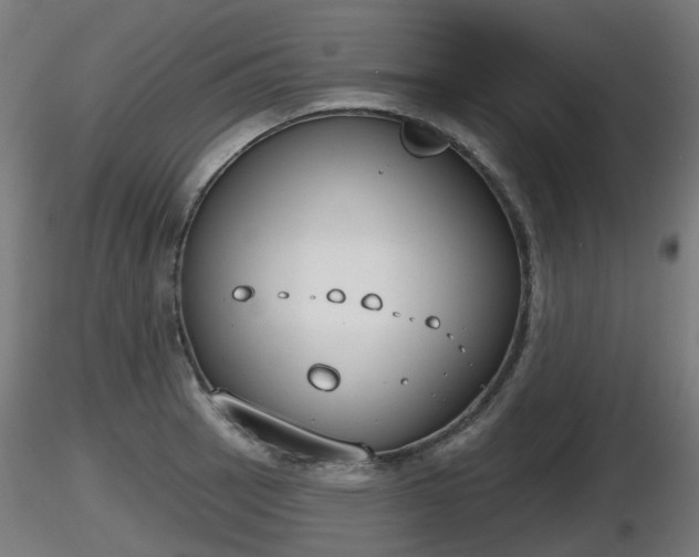X0000116831137200912241221