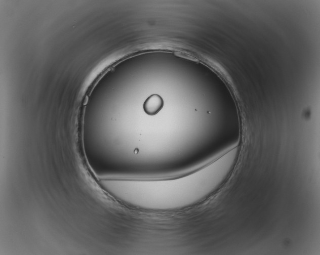 X0000116831138200912241221