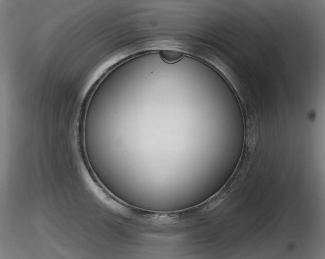 X0000116831139200912241221