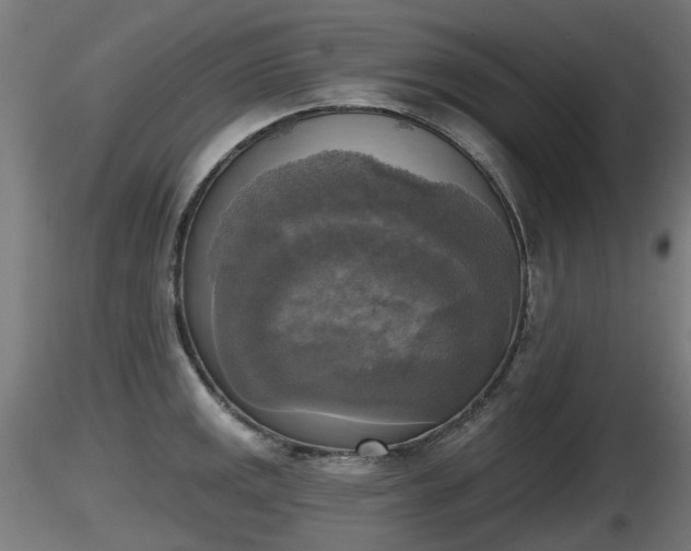 X0000116831141200912241221
