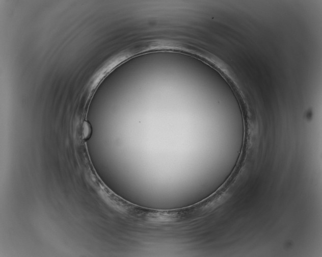 X0000116831145200912241221