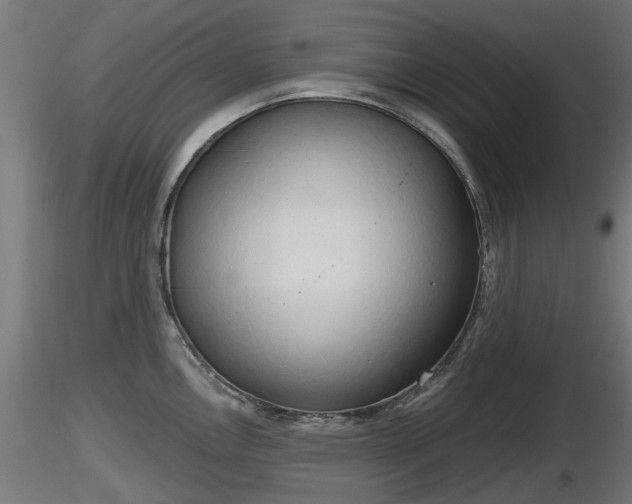X0000116831146200912241221