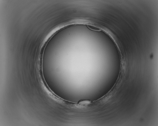 X0000116831147200912241221