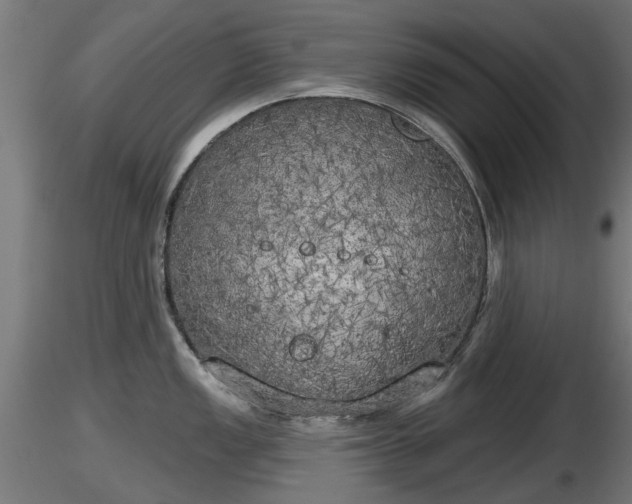 X0000116831149200912241221