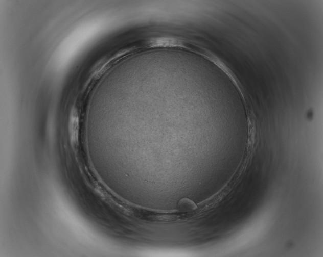 X0000116831151200912241221