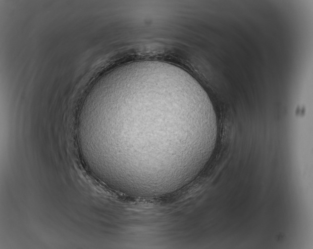 X0000116831153200912241221