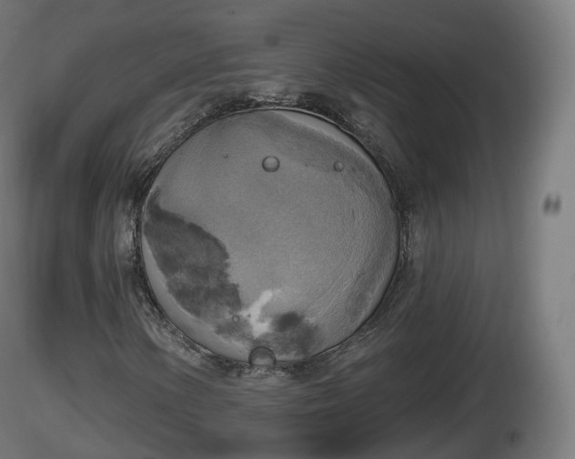 X0000116831154200912241221
