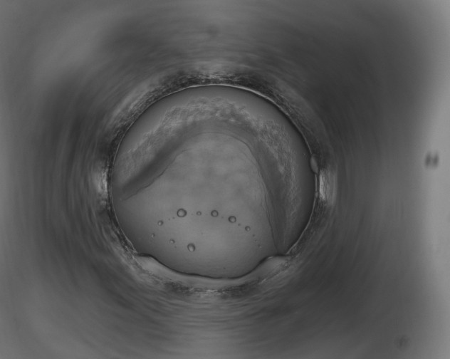 X0000116831155200912241221