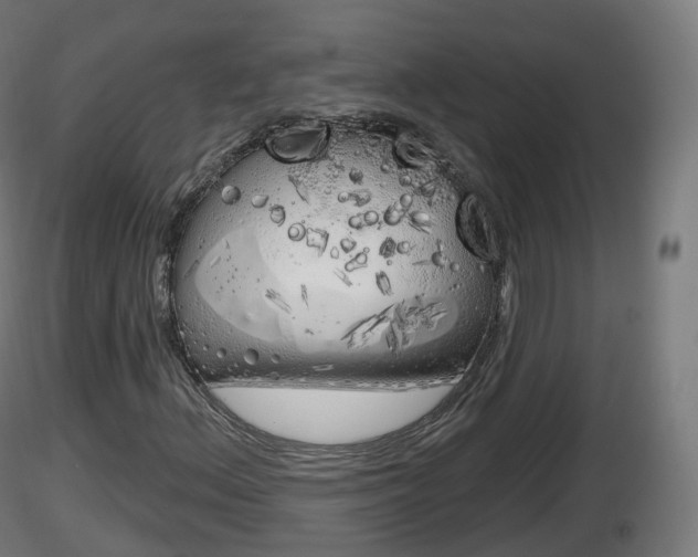 X0000116831156200912241221