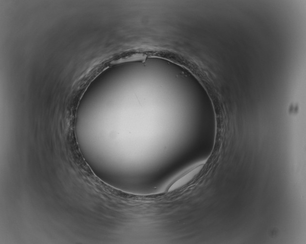 X0000116831157200912241221