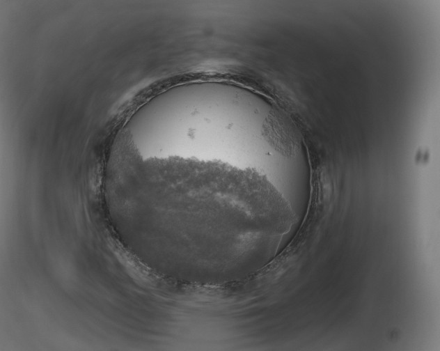 X0000116831158200912241220