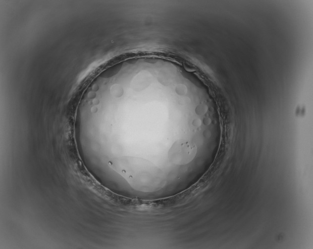 X0000116831160200912241220