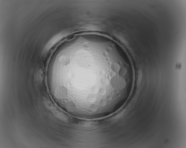 X0000116831163200912241220